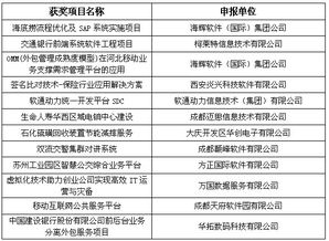 共創(chuàng)綠色服務(wù)新未來 第三屆中國(guó)軟件與信息服務(wù)外包產(chǎn)業(yè)年會(huì)在哈爾濱盛大召開