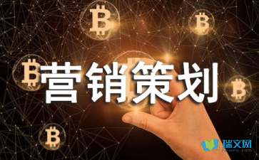 市場(chǎng)營銷策劃書的標(biāo)準(zhǔn)格式與核心要素